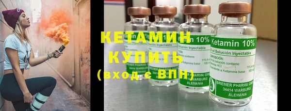 шишки Надым