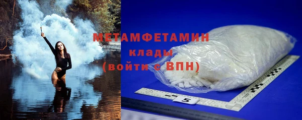 шишки Надым