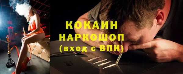шишки Надым