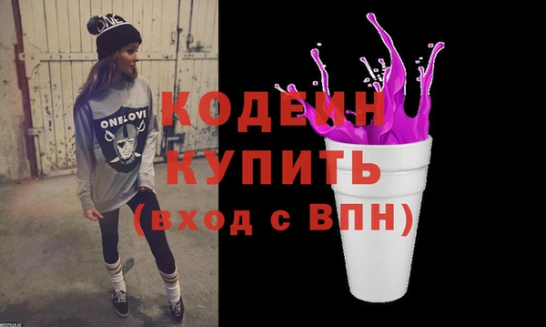 шишки Надым