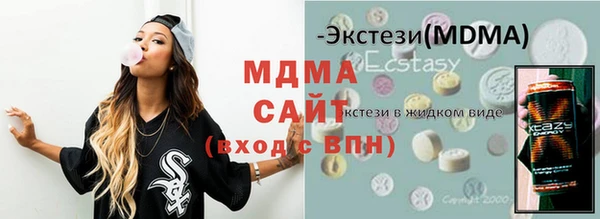 шишки Надым