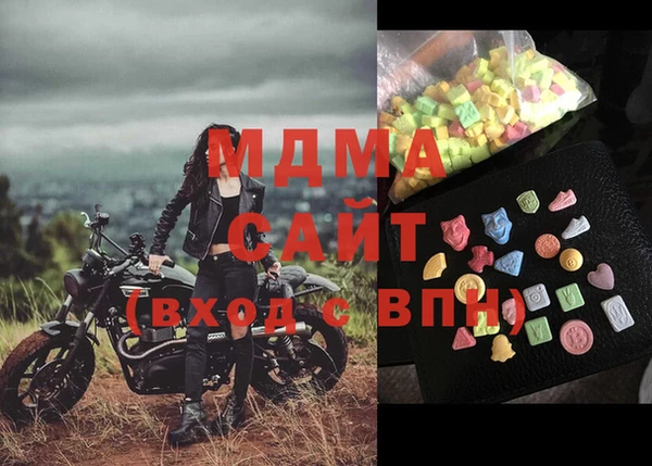 шишки Надым