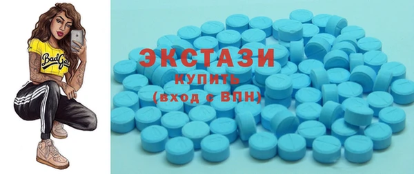 шишки Надым