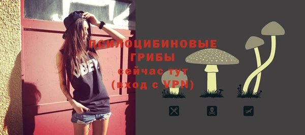 эйфоретик Михайловск