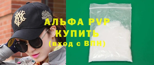гашик Арсеньев