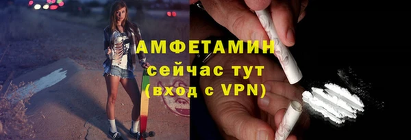 шишки Надым