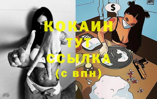 шишки Надым