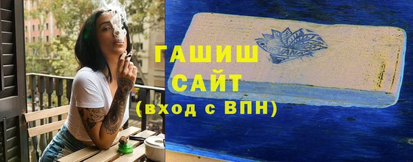 шишки Надым