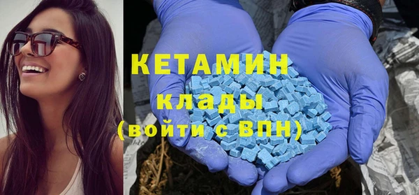 шишки Надым