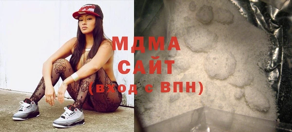 шишки Надым