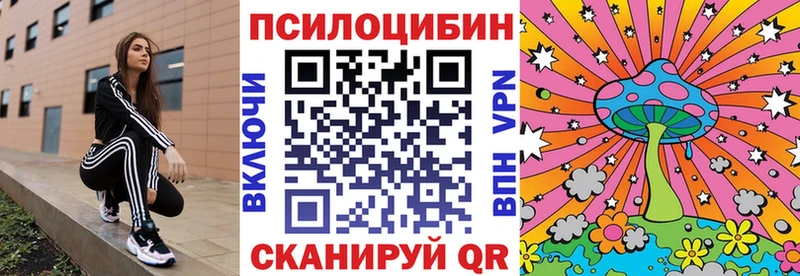 что такое   Тольятти  Псилоцибиновые грибы Magic Shrooms 