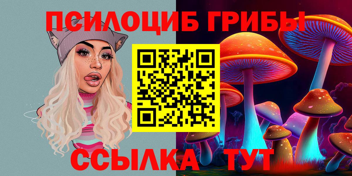 Галлюциногенные грибы Psilocybe Тольятти