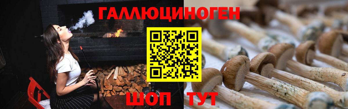 Галлюциногенные грибы GOLDEN TEACHER  Вход с VPN  Тольятти 